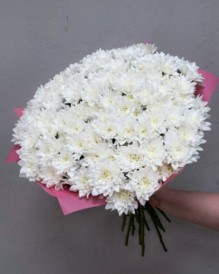 Букет 15 белых хризантем