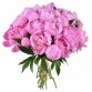 Букет 25 розовых пионов
