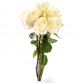 Букет 5 белых роз