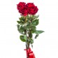 Букет 5 красных роз