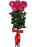 Букет 7 ярко-розовых роз
