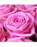 Букет 101 нежно-розовая роза