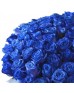 Букет 101 синяя роза