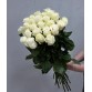 Букет 25 белых длинных роз