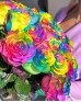 Букет 25 радужных роз