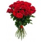 Букет 25 красных роз в ленте 