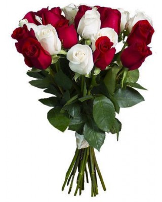 Букет 25 красных и белых роз