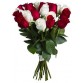 Букет 25 красных и белых роз