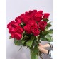 Букет 25 красных длинных роз