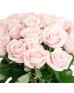 Букет 25 светло-розовых роз