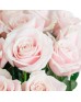 Букет 25 светло-розовых роз
