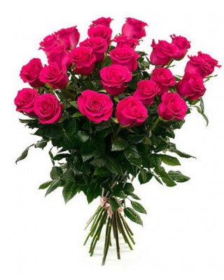 Букет 25 ярко розовых роз