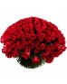 Букет 301 красная роза