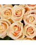 Букет 51 кремовая роза