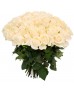 Букет 75 белых роз