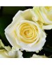 Букет 101 белая роза с оформлением