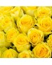 Букет 51 жёлтая роза
