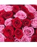 Букет 51 красная и розовая роза