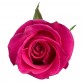 Роза «Topaz» поштучно