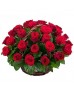 Корзина 35 красных роз