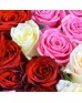Сердце «101 роза микс»
